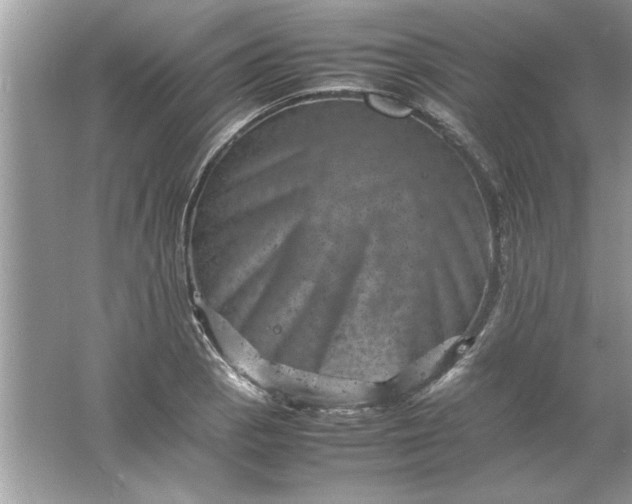 X0000061761129200512161736