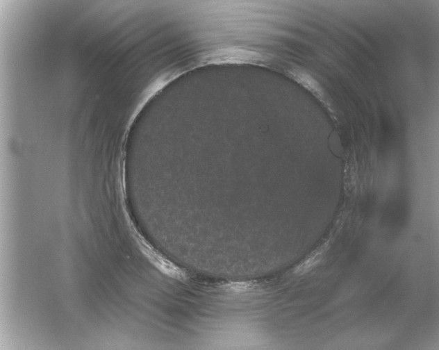 X0000061761130200512161736