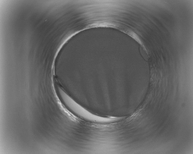 X0000061761132200512161736