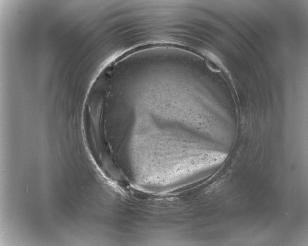 X0000061761133200512161736