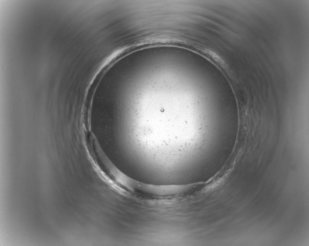 X0000061761134200512161736