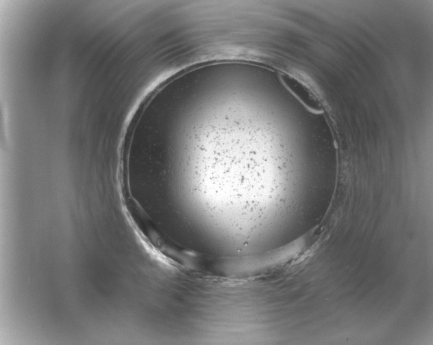 X0000061761136200512161736