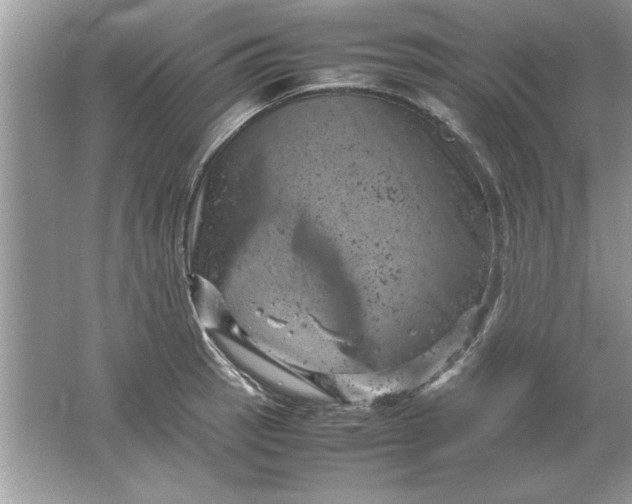 X0000061761137200512161736