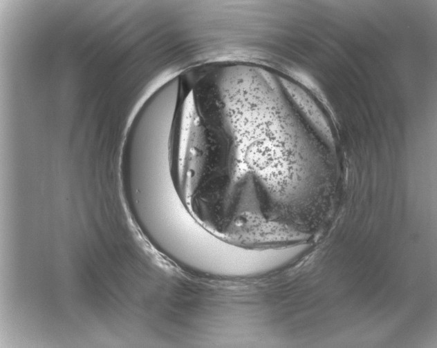 X0000061761138200512161736