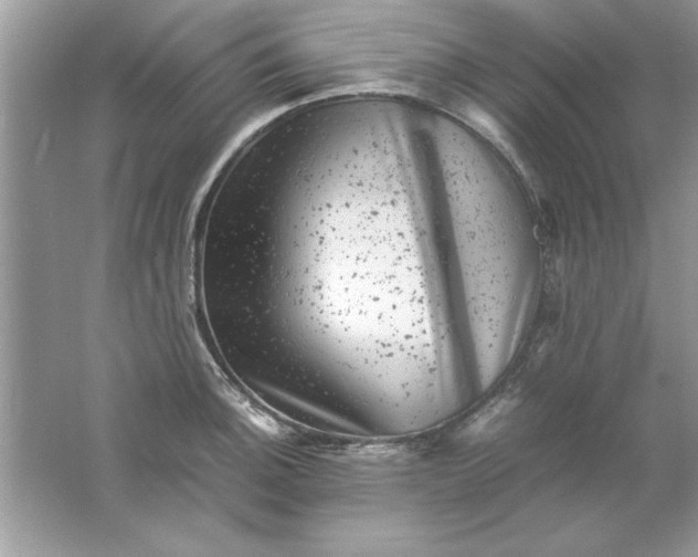 X0000061761140200512161736