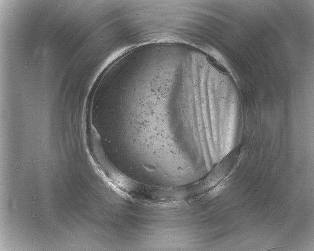 X0000061761142200512161736