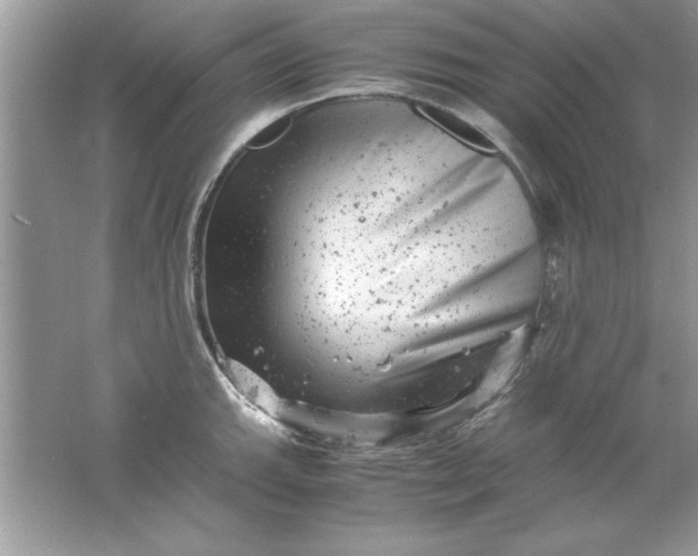 X0000061761143200512161736