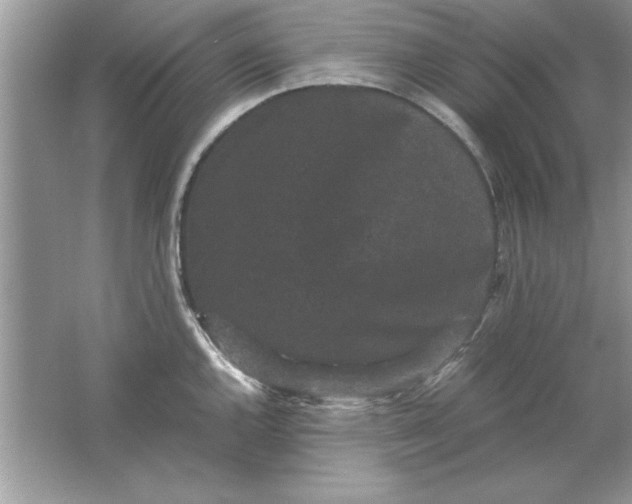 X0000061761144200512161736