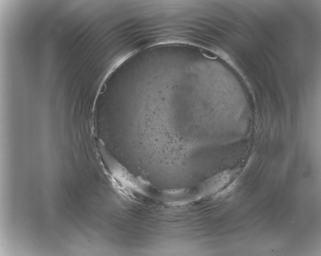 X0000061761145200512161736