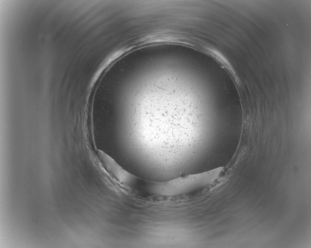 X0000061761146200512161736