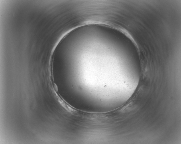 X0000061761148200512161736