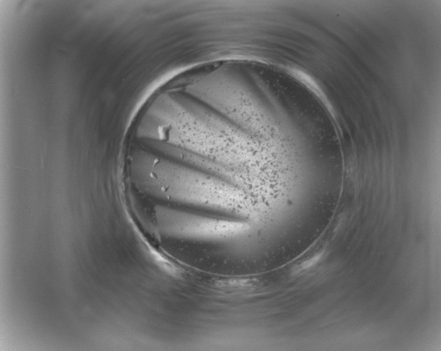 X0000061761149200512161736