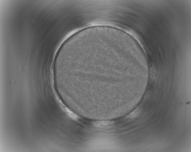 X0000061761150200512161736