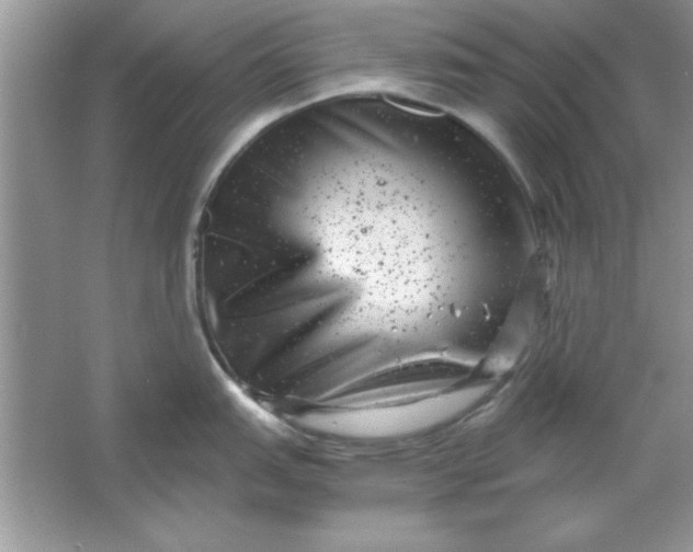 X0000061761151200512161736