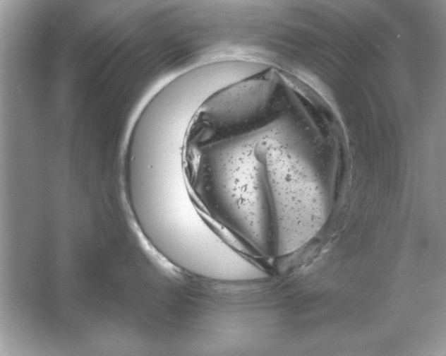 X0000061761152200512161737