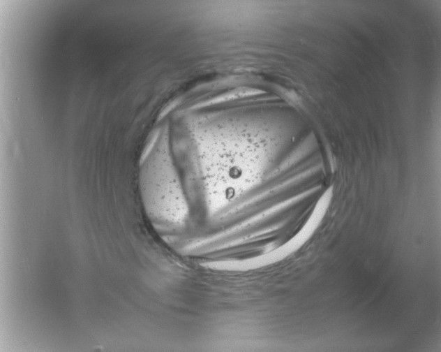 X0000061761153200512161736