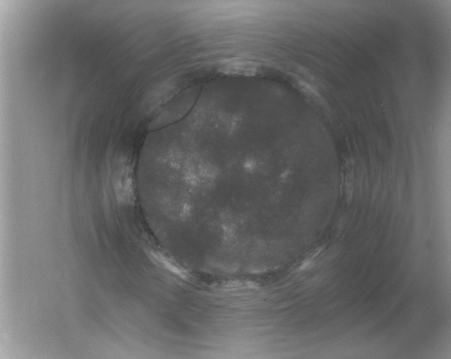 X0000061761154200512161736