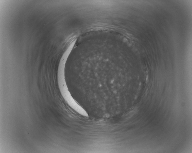 X0000061761155200512161736