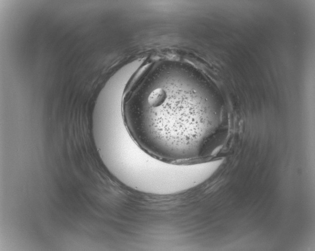 X0000061761156200512161736