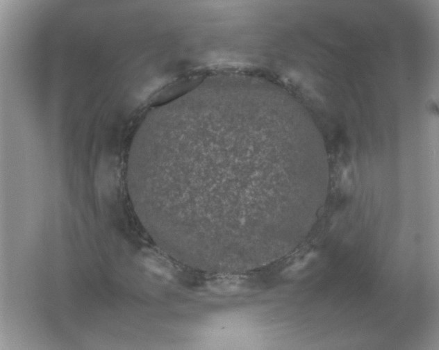 X0000061761157200512161736