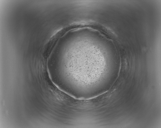 X0000061761158200512161736