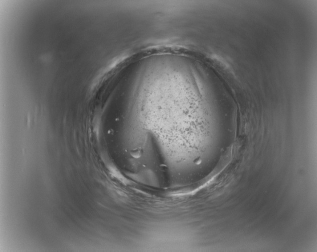 X0000061761159200512161736