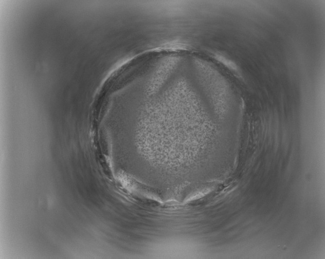 X0000061761160200512161736