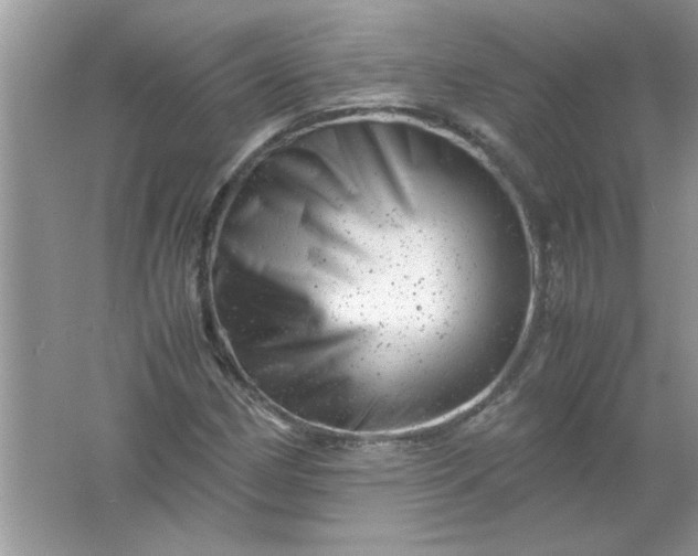 X0000061761162200512161736