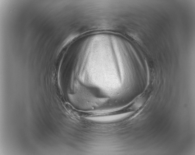 X0000061761163200512161736