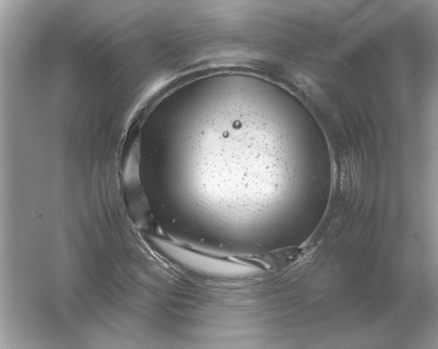 X0000061761164200512161735