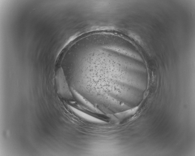 X0000061761165200512161735