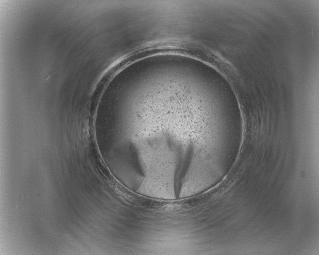 X0000061761166200512161735