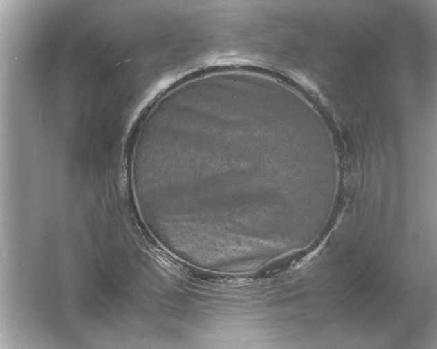 X0000061761167200512161735