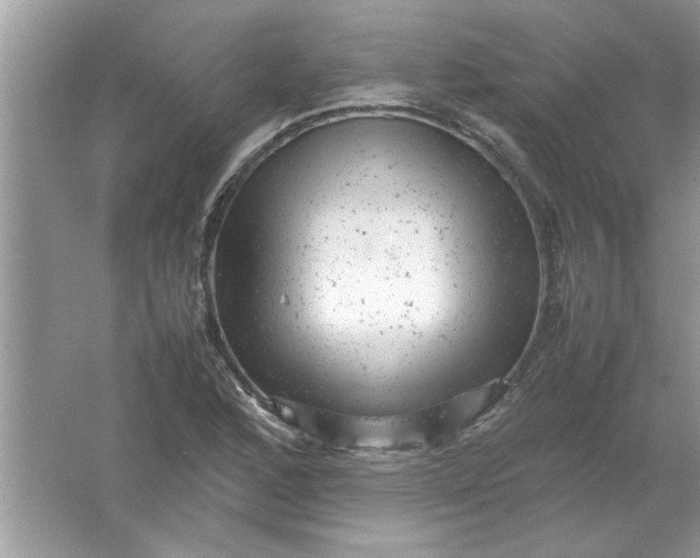 X0000061761168200512161735