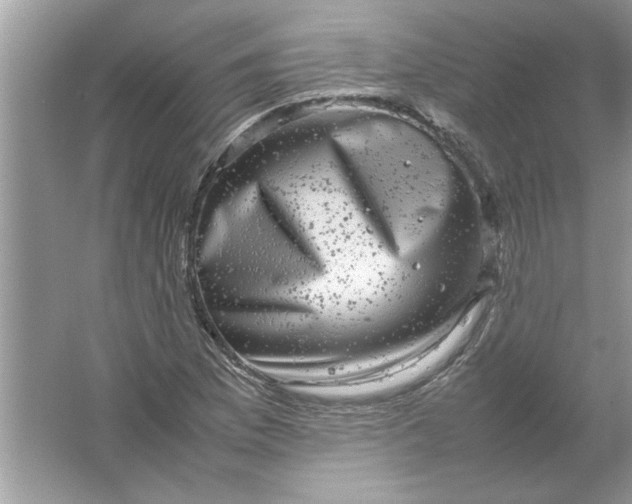 X0000061761169200512161735