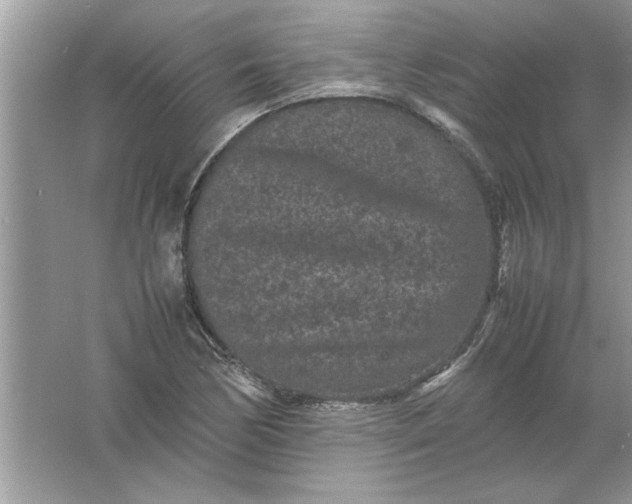 X0000061761170200512161735