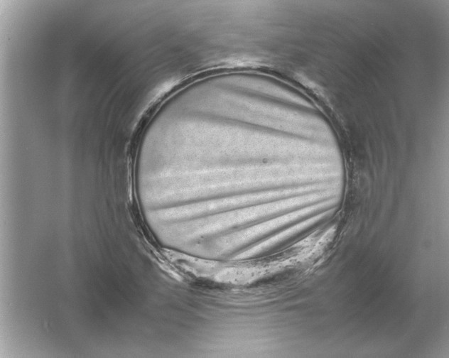 X0000061761171200512161735