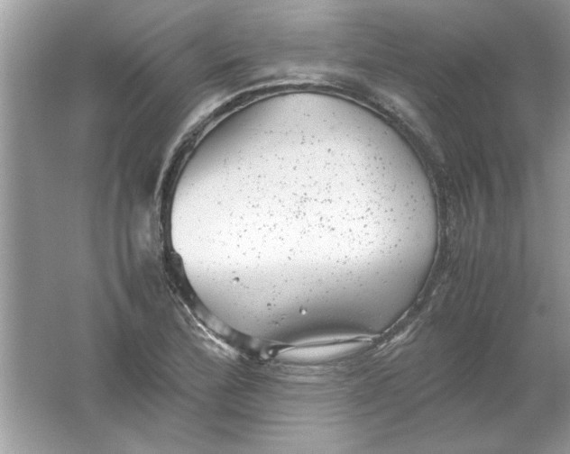 X0000061761172200512161735