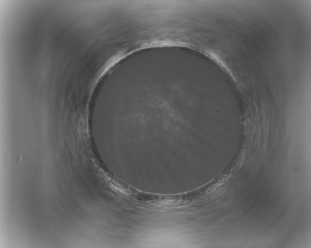 X0000061761173200512161735