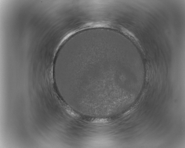 X0000061761174200512161735