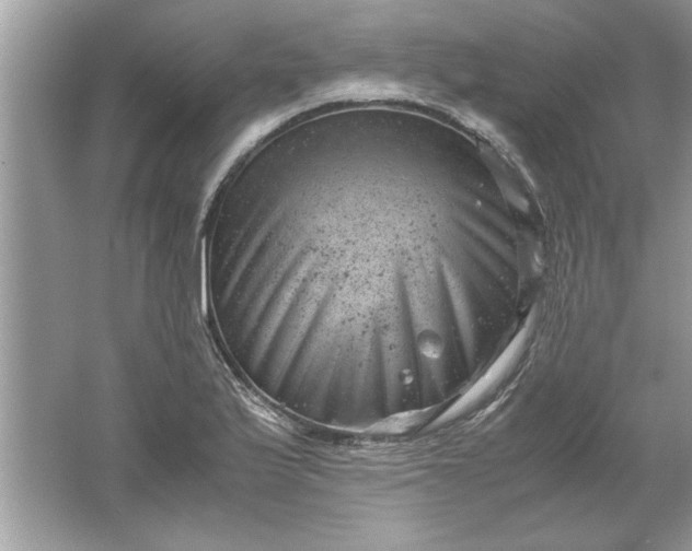 X0000061761175200512161735