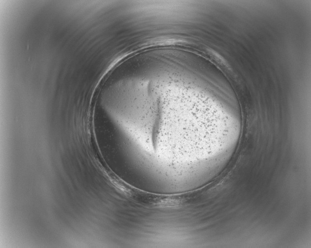 X0000061761178200512161735