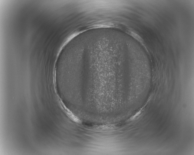 X0000061761179200512161735