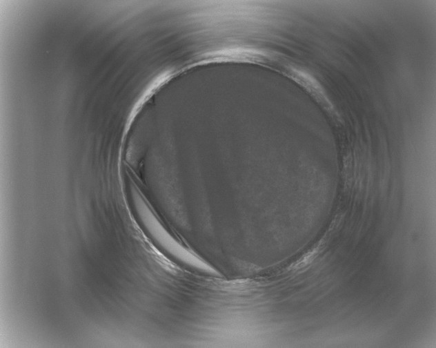 X0000061761180200512161735