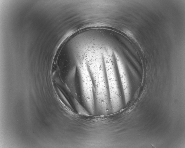 X0000061761181200512161735