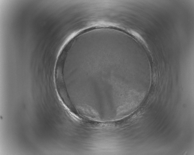 X0000061761183200512161735