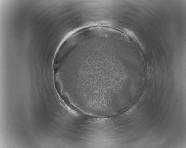 X0000061761184200512161735