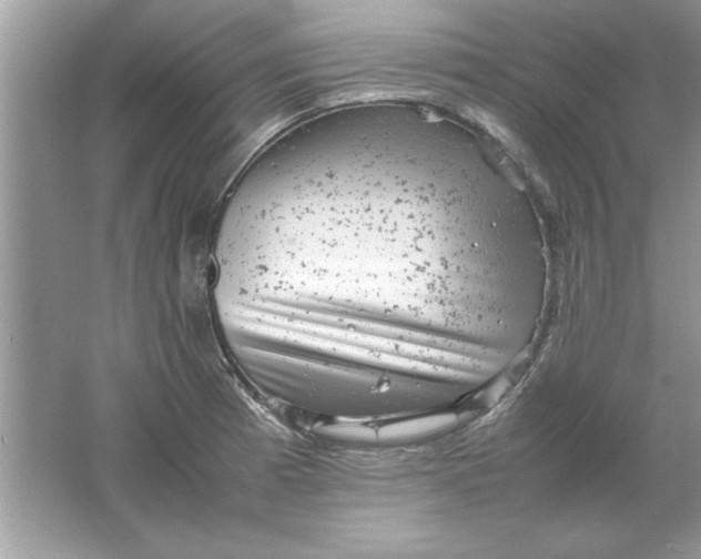 X0000061761185200512161735