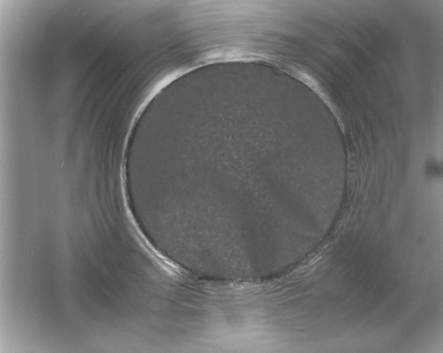 X0000061761187200512161735