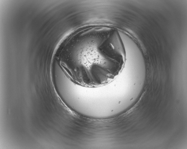 X0000061761188200512161735